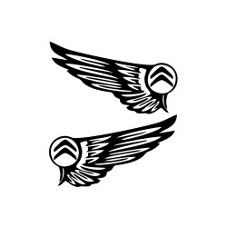Set Sticker Auto Citroen aripi