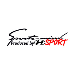 Sticker Auto Hyundai sports mind sport