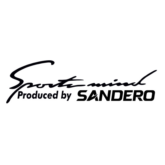 Sticker Auto Dacia Sandero